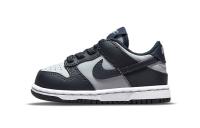 Nike Dunk Аbrasion Resistant Низкие Кроссовки для Малышей Малыш