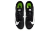 Nike Zoom Rival S9 Low Топ Повседневный Спринт Тест физической подготовленности Экзамен физической подготовленности