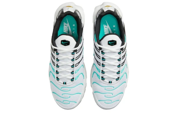 Nike Air Max Plus Сетка Низкие Беговые Кроссовки Мужские Белые Синие Черные